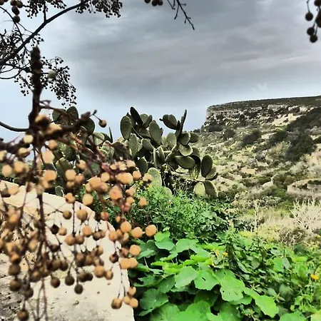 Gozo Sea And Country View *